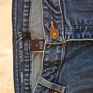 LANE BRYANT Size 18L Skinny Jeans